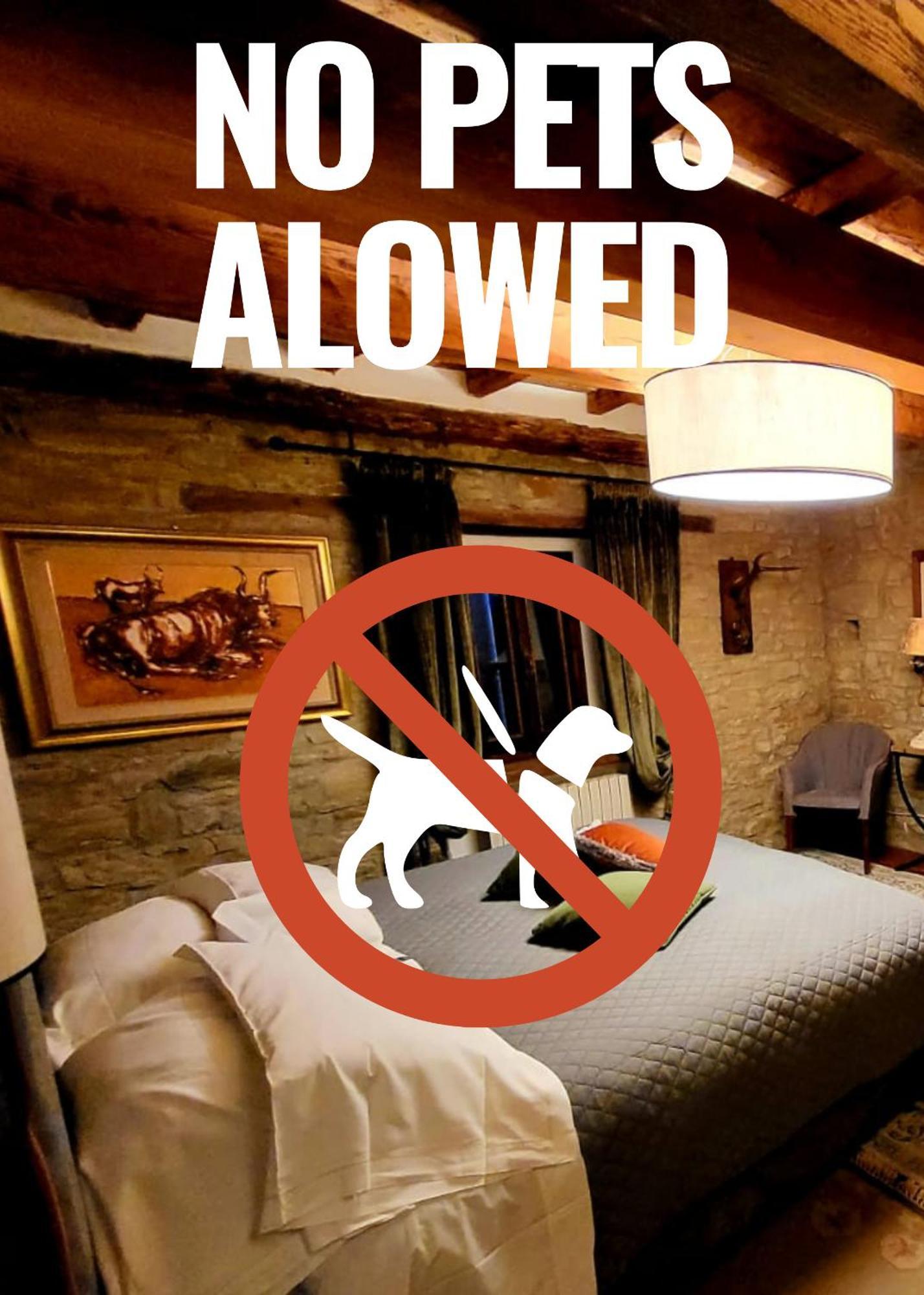 Agriturismo Il Passeggere Bruscoli Kültér fotó